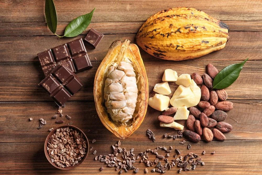 Embracing the Sweetness of Cocoa: A Natural Health Elixir