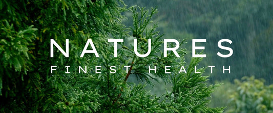 ✨ Kofi 29 Plus – How to Get the Most Out of Our Super Drink! ✨