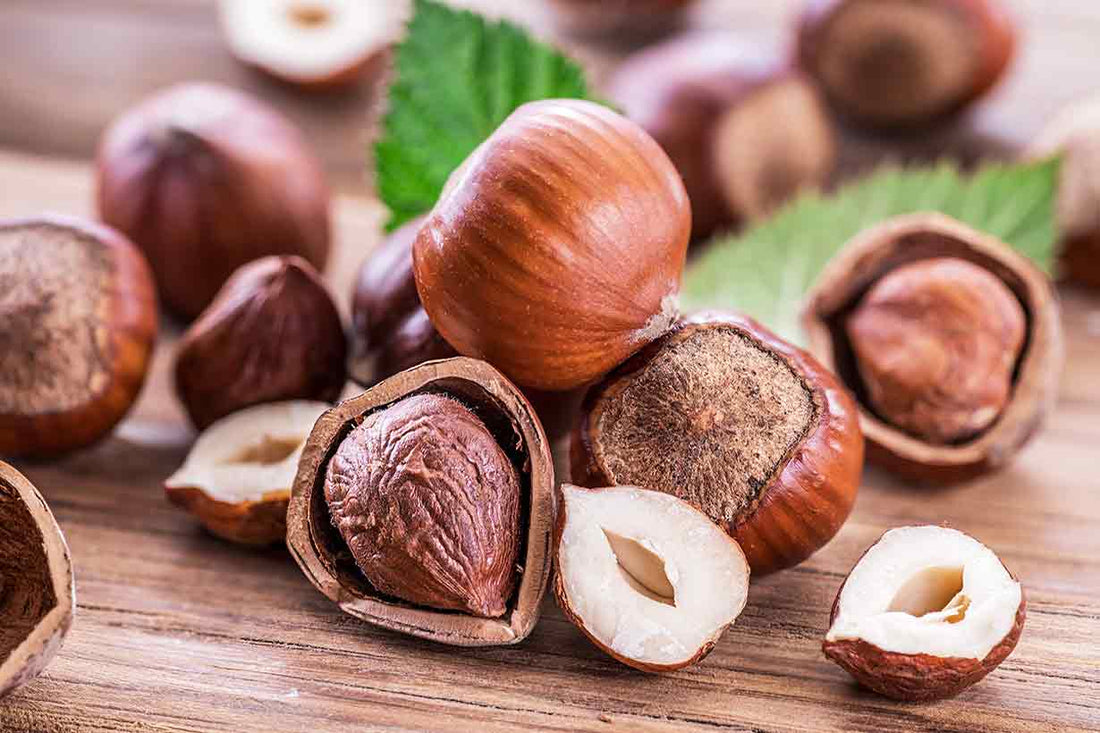 Harnessing the Power of Hazelnuts: A Nutritional Superfood for Natural Living